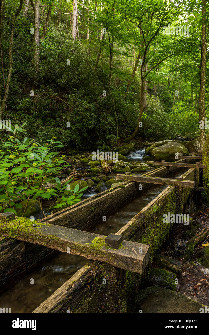 Trogolo di acqua portare acqua alla Alfred Reagan mulino vasca lungo la Roaring Fork River nel Parco Nazionale di Great Smoky Mountains. Foto Stock