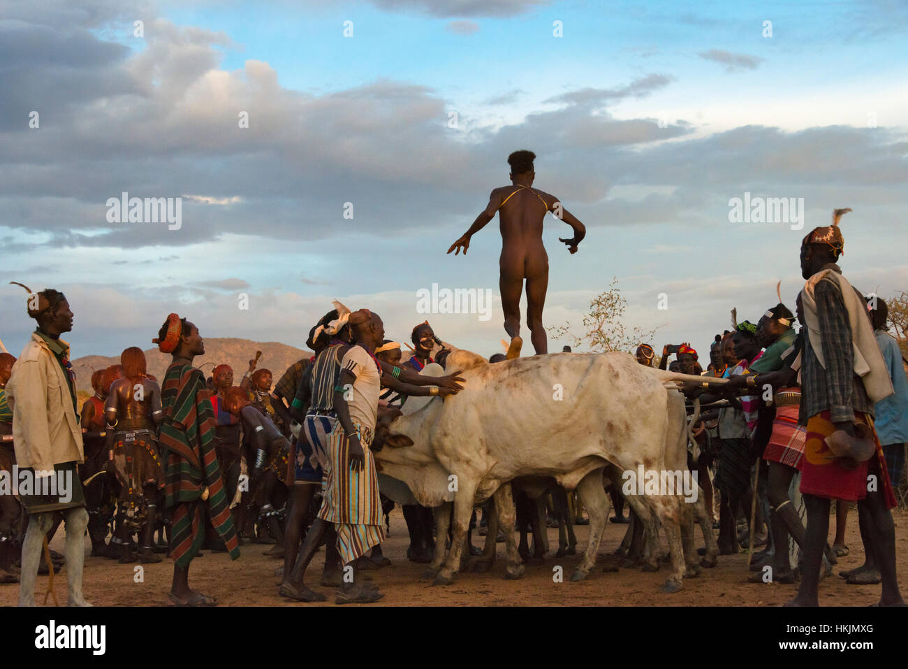 Hamar tribù del popolo di salto del bestiame (un evento cerimoniale di celebrare un Hamar uomo arriva di età),Sud Omo, Etiopia Foto Stock