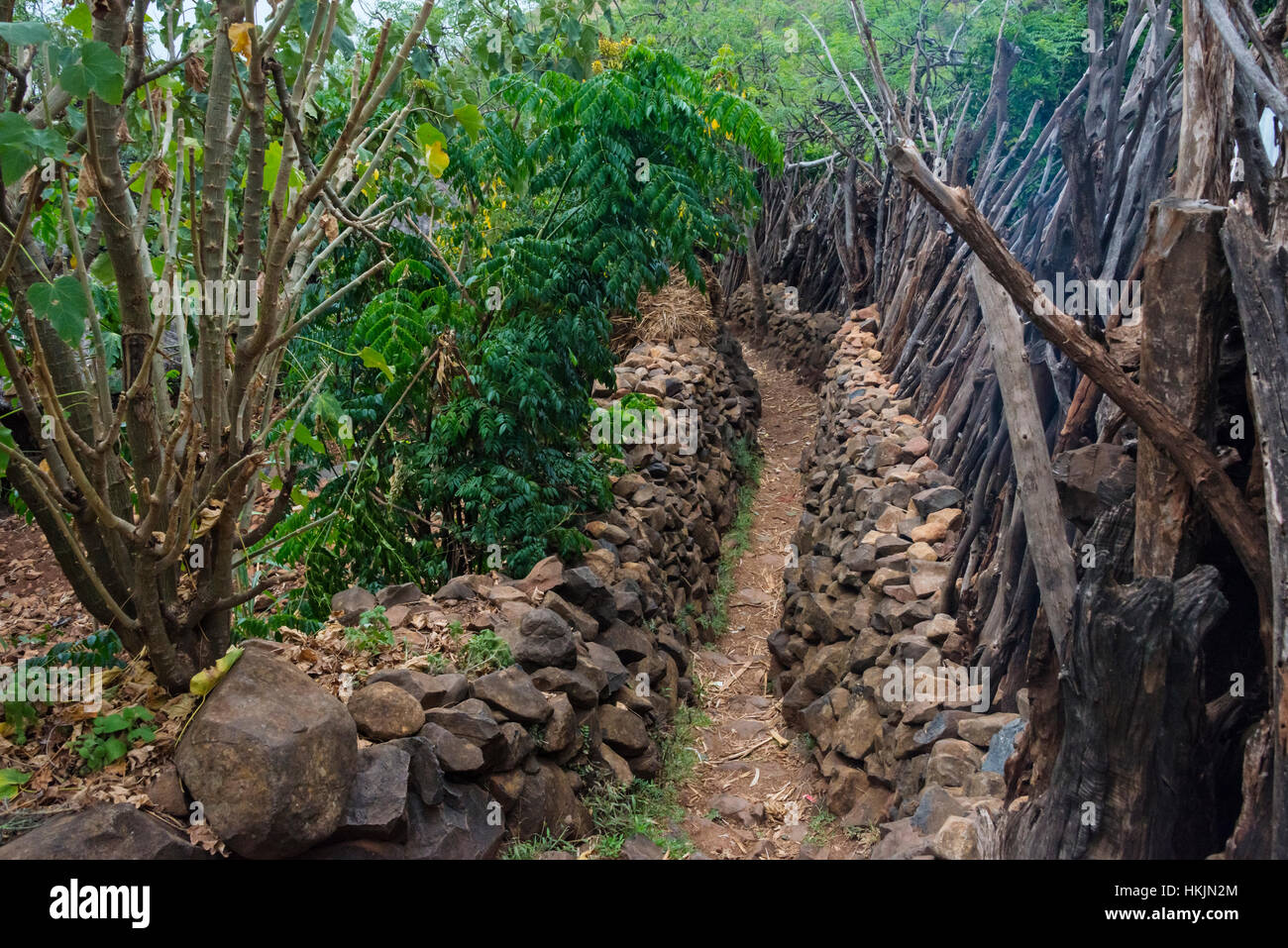 Konso paesaggio culturale (patrimonio mondiale dell'UNESCO), villaggio con muro di pietra, Etiopia Foto Stock