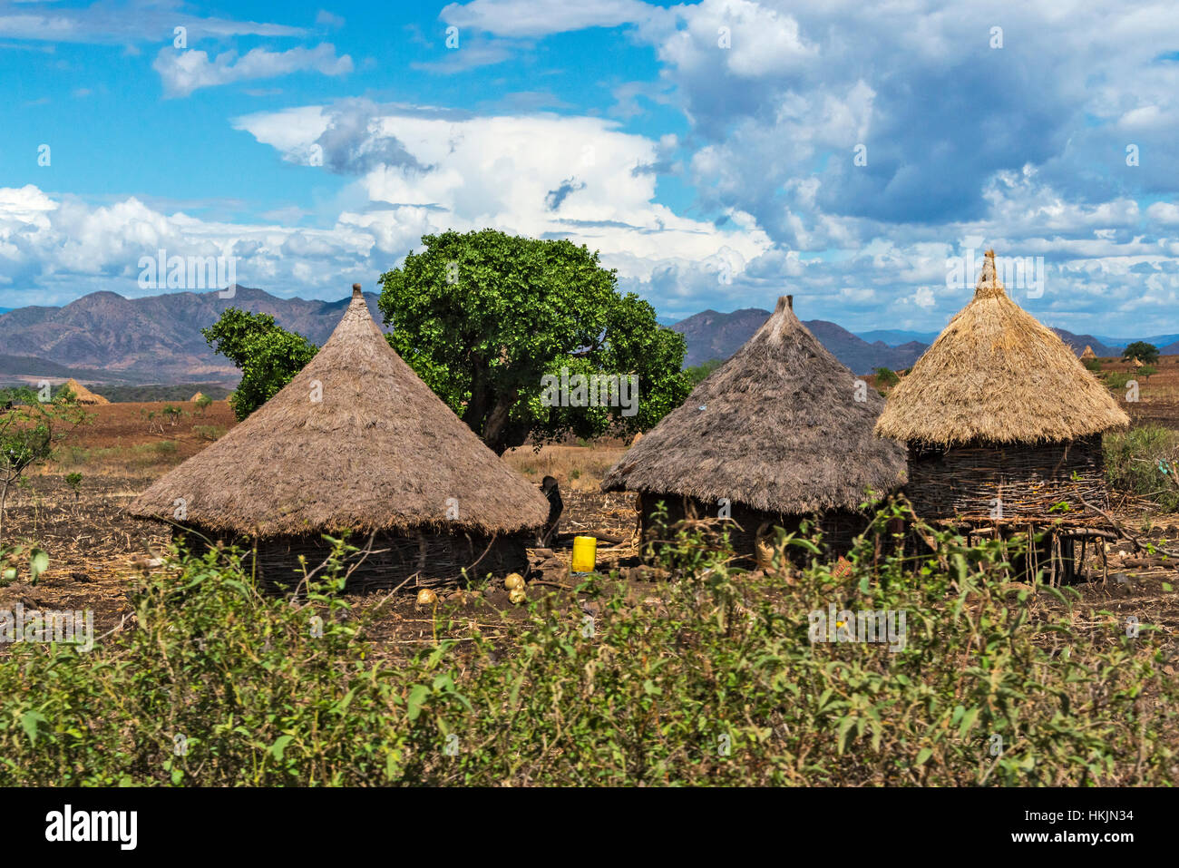 Villaggio Tradizionale case con il tetto di paglia con terreno coltivato in montagna, Konso, Etiopia Foto Stock