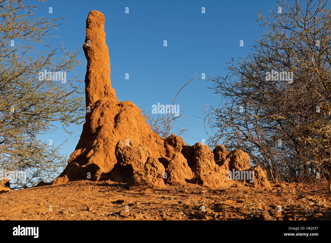 Massive termite mound contro un cielo blu, Sud Africa Foto Stock