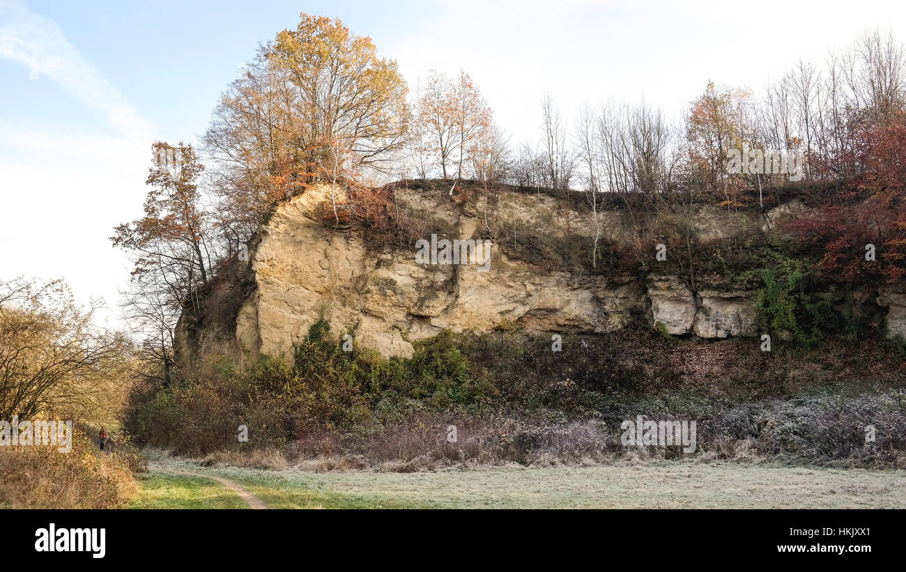 Monumento Naturale (Oligocene) 'Doberg' in Bünde-Südlengern Foto Stock