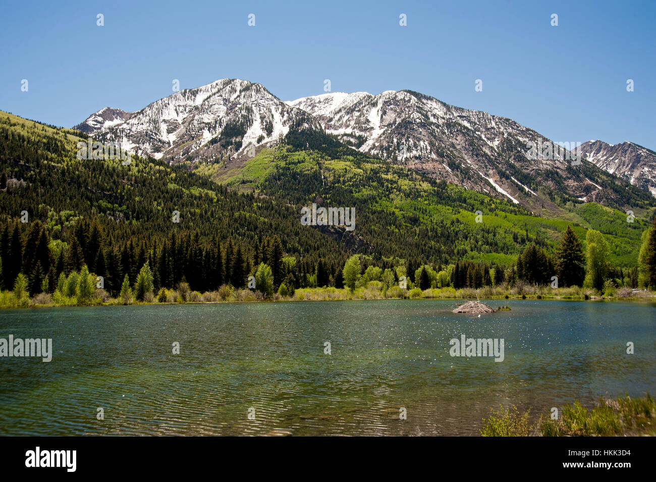 San Juan lago di montagna che mostra i riflessi della montagna con neve ancora visibili. Un castoro nido è mostrata al centro del lago.. Foto Stock