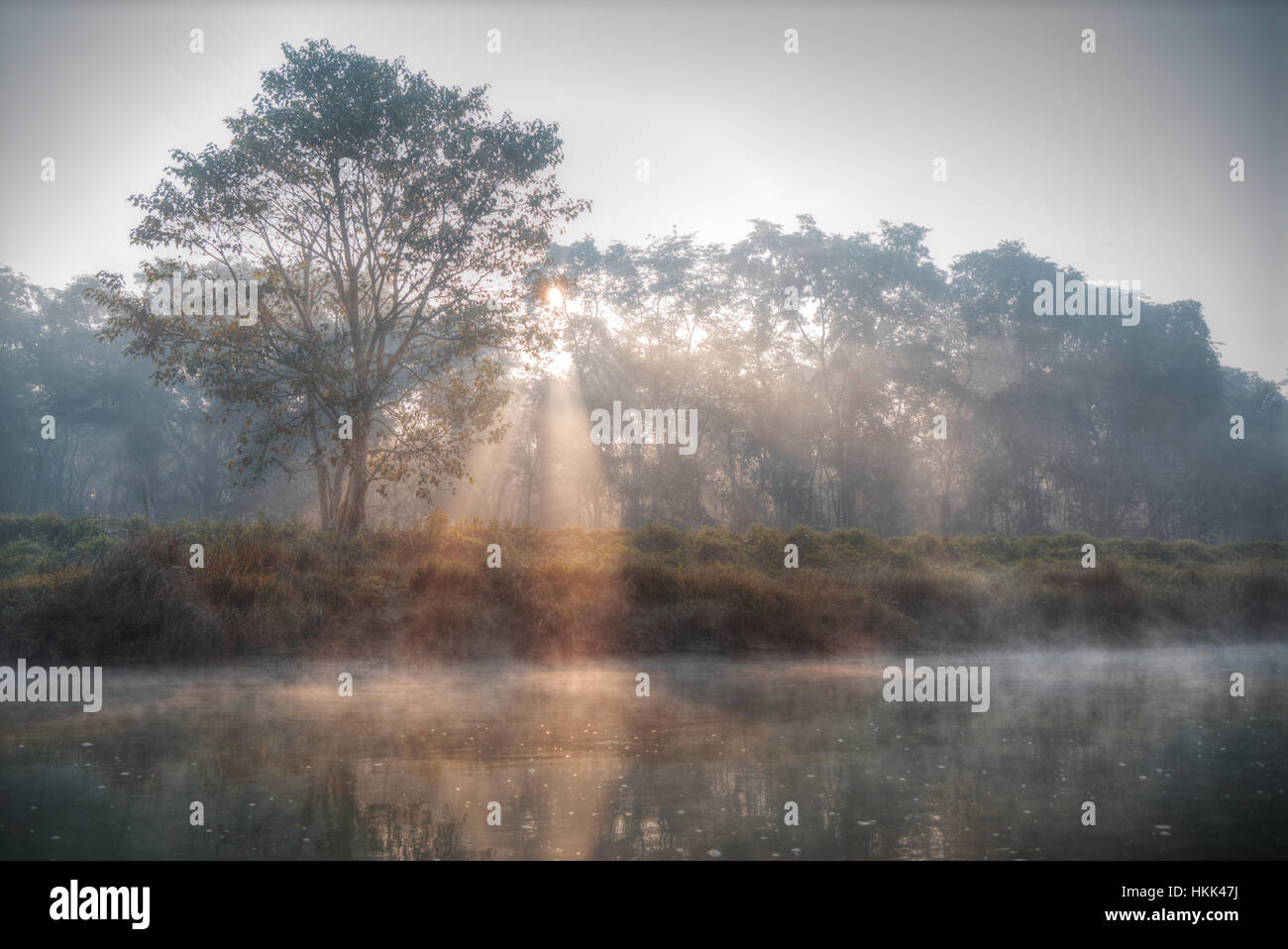Chitwan il parco nazionale. Il parco è di 932 kmq, è principalmente coperto dalla giungla. Foto Stock