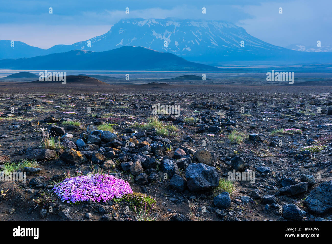 Lave campo nella valle geotermale Leirhnjukur, vicino vulcano Krafla, Islanda, l'Europa. Foto Stock