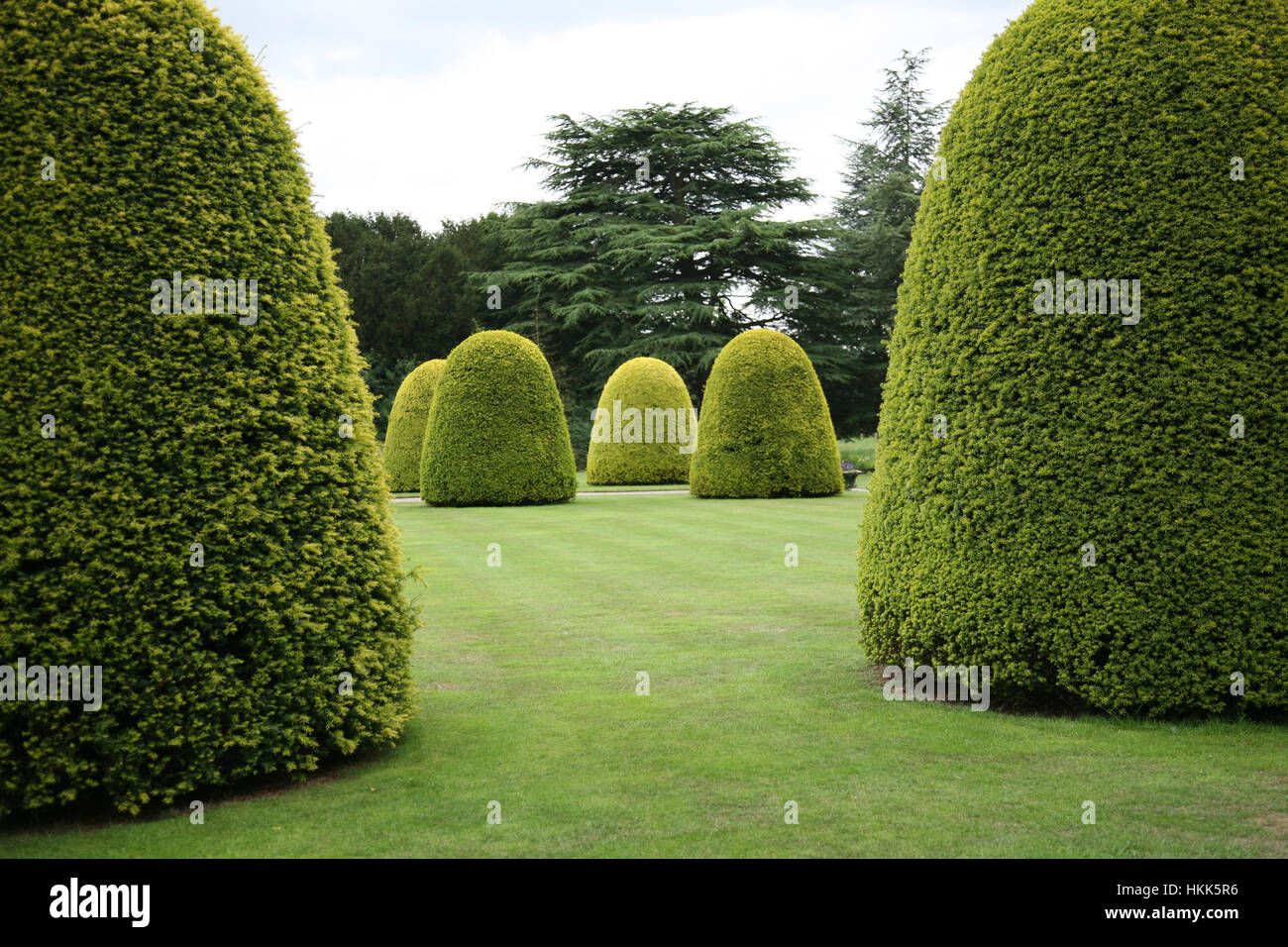 Topiaria da inglese il giardino formale Foto Stock