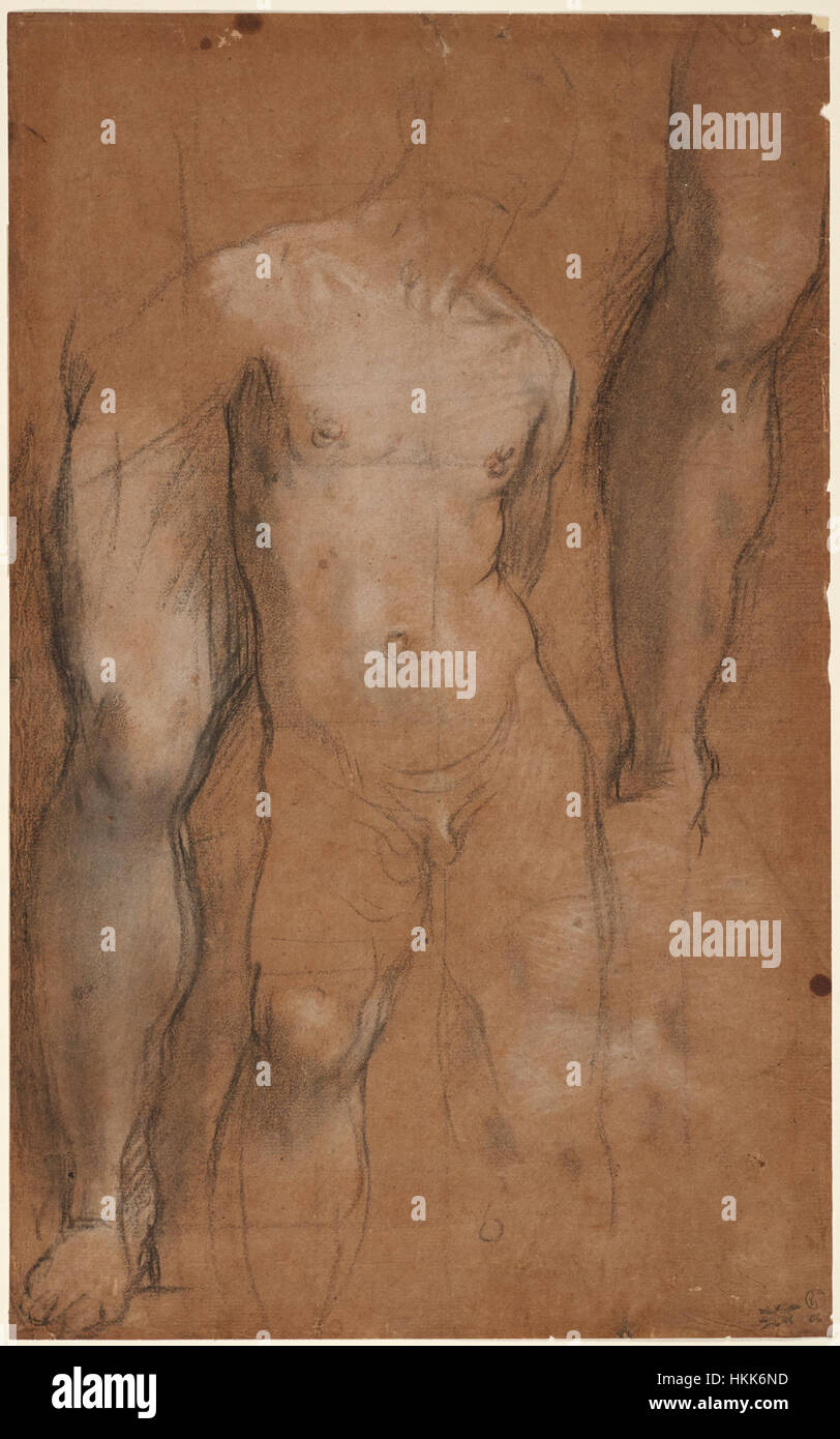 Gli "studi per San Sebastiano" di Federico Barocci del 1592-96 sono disegni preparatori per un'opera più ampia. Questi schizzi mostrano la meticolosa attenzione di Barocci ai dettagli anatomici e la sua padronanza della luce, caratteristica del suo stile barocco. Foto Stock