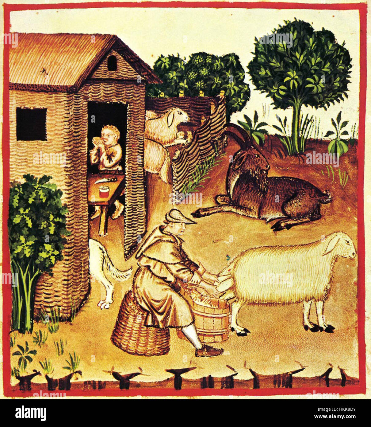 Un'illustrazione tratta dal manoscritto "Taccuino Sanitatis", che mostra 8 diversi tipi di cibo, compreso il latte, come parte delle conoscenze mediche medievali. Il lavoro mette in luce l'uso degli alimenti per la salute in contesti storici. Foto Stock