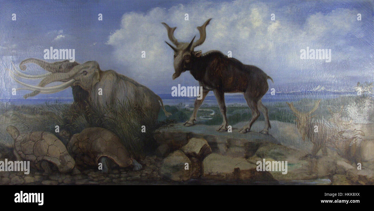 Un'illustrazione scientifica di Benjamin Waterhouse Hawkins, raffigurante la fauna del Pleistocene in Asia. Questa opera d'arte presenta creature preistoriche e i loro habitat, mettendo in mostra l'abilità di Hawkins nel fondere precisione scientifica e interpretazione artistica. Foto Stock