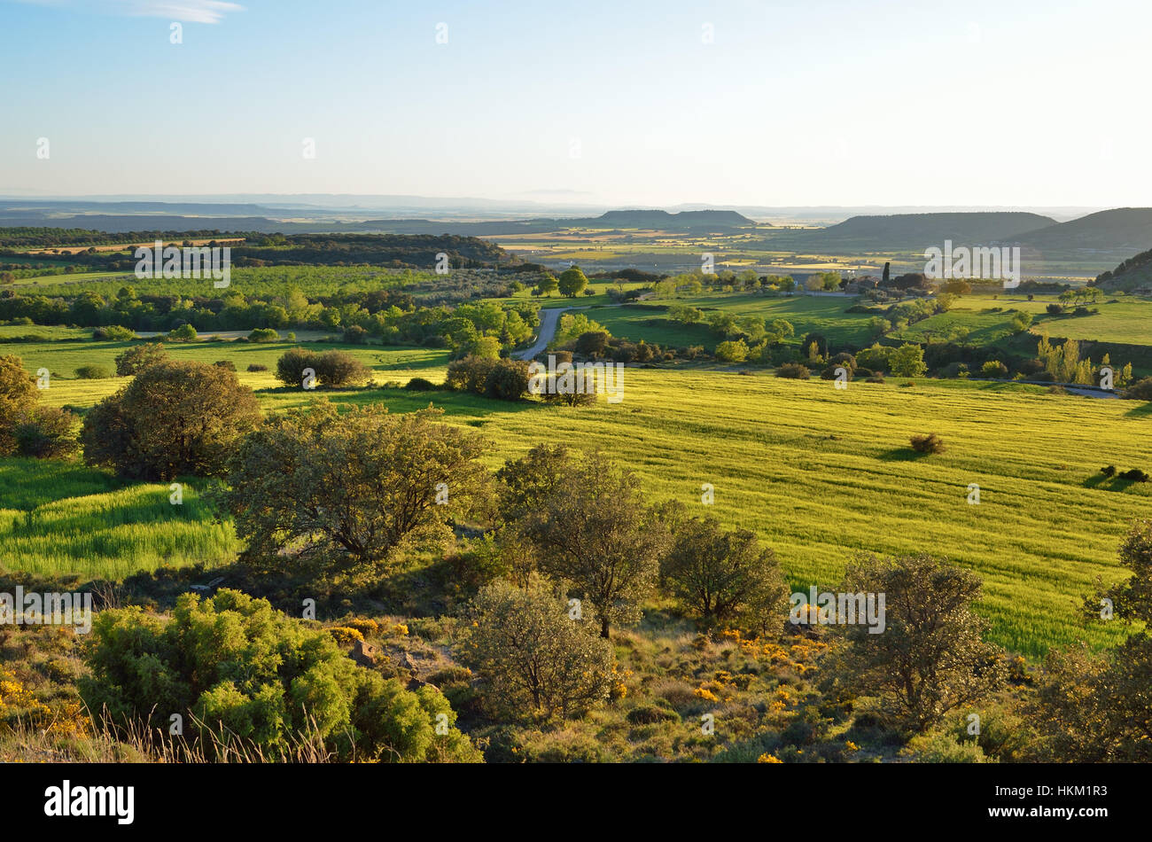Vista primavera spagnola della pianura con le colline Foto Stock