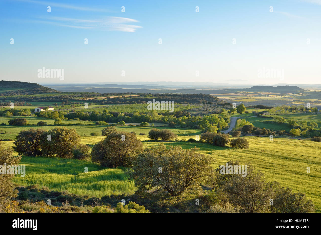 Vista primavera spagnola della pianura con le colline Foto Stock