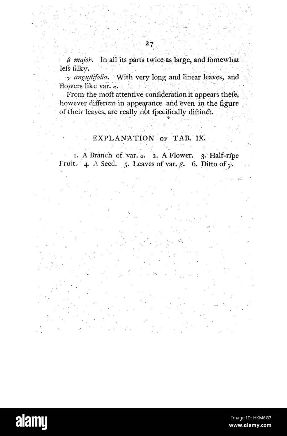 "A Specimen of the Botany of New Holland" è un'illustrazione botanica dei primi anni del XIX secolo, che mostra le specie vegetali uniche native dell'Australia. Questo piatto, etichettato come "P. 27", presenta rappresentazioni altamente dettagliate della flora australiana, significative per la loro ricerca botanica. Foto Stock
