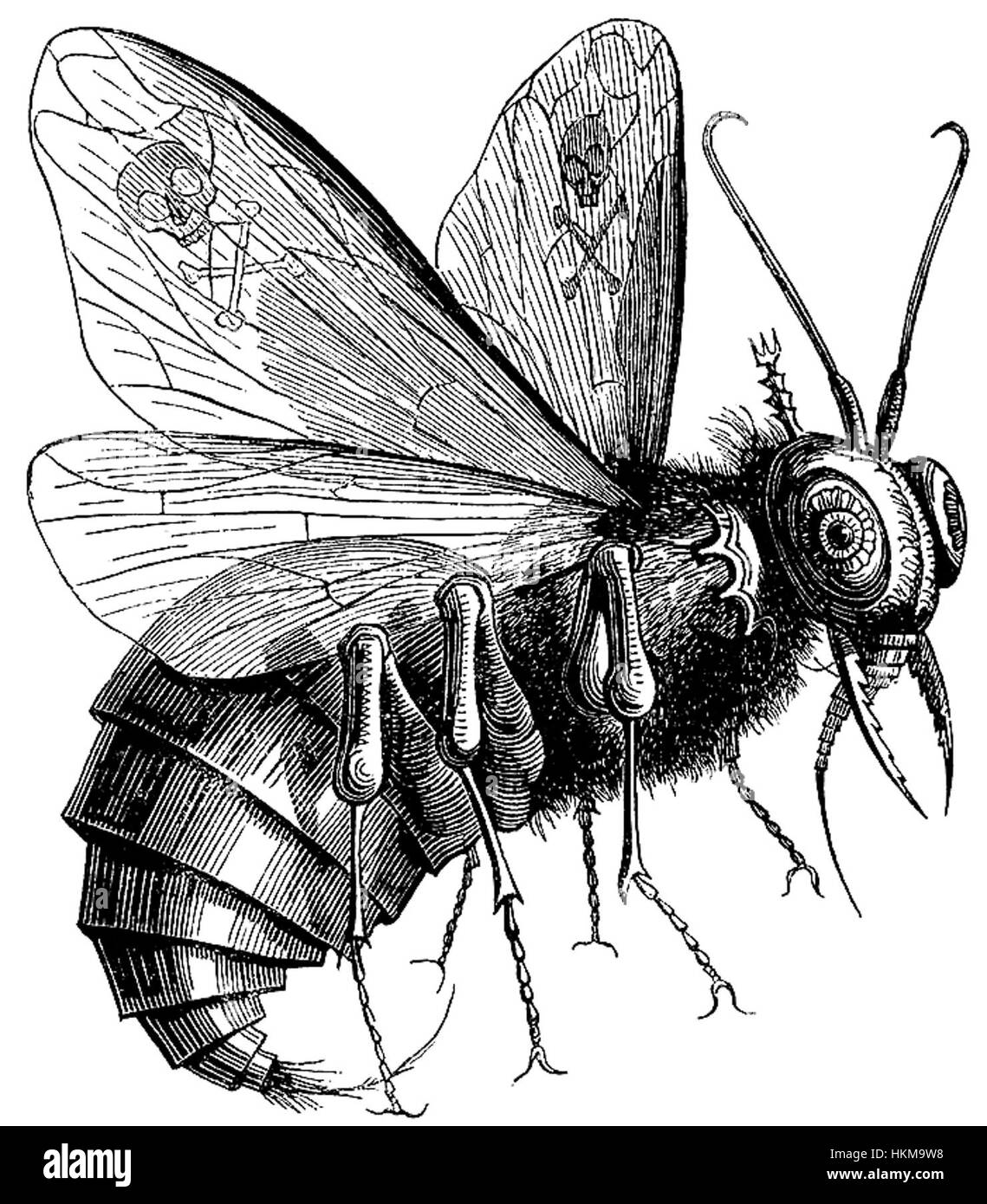 Questo dipinto drammatico di Beelzebub ritrae il signore del demone in uno stile oscuro ed espressivo, mostrando intense emozioni attraverso l'uso di colori vividi e contrasti vivi. L'opera cattura la figura di Beelzebub, enfatizzando la sua presenza minacciosa e potente nel contesto del simbolismo religioso e mitologico. Foto Stock