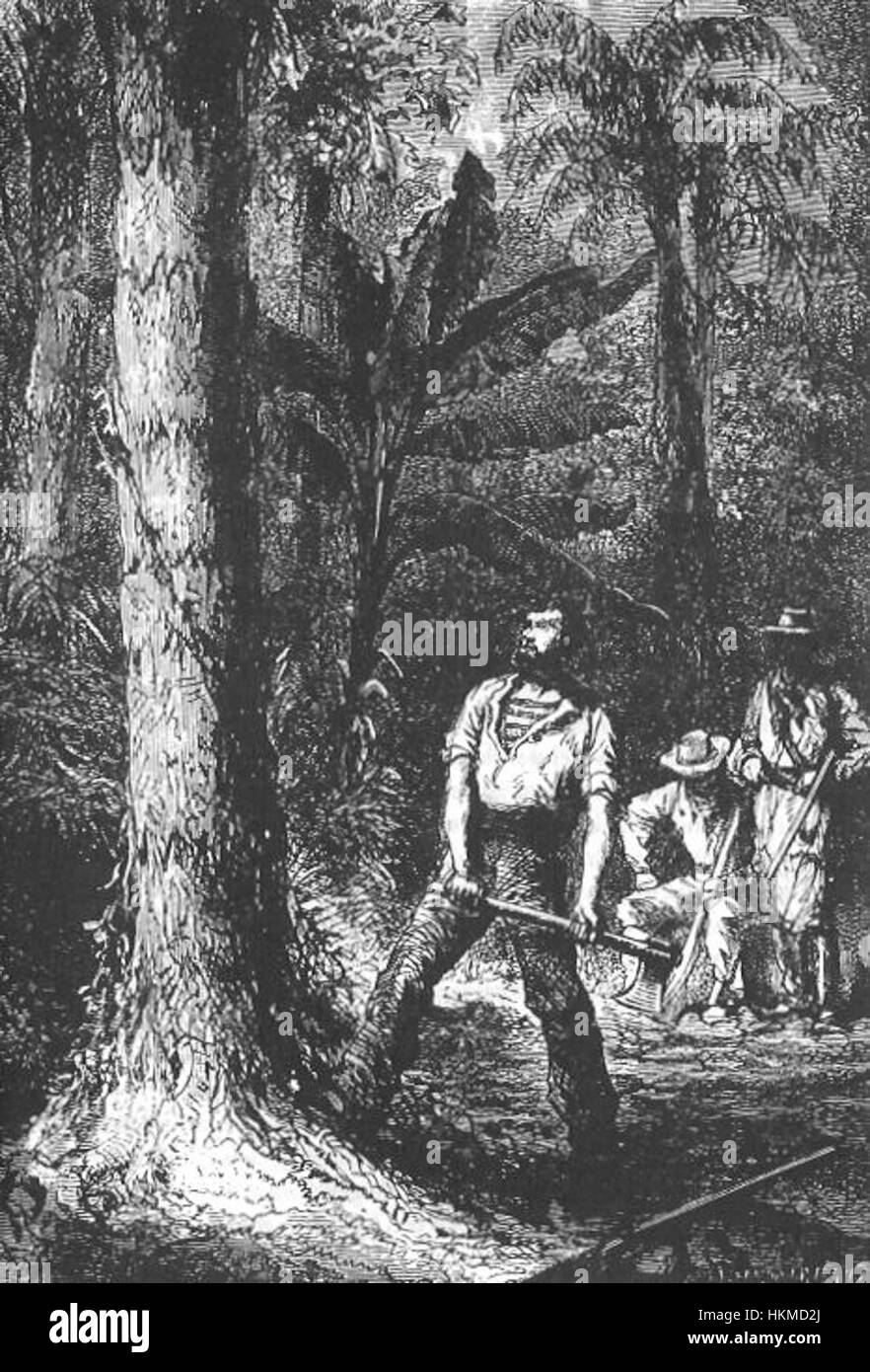 Questa illustrazione di Neuville e Riou di *ventimila leghe sotto il mare* cattura il mondo sottomarino del capitano Nemo. La scena dettagliata riflette gli elementi avventurosi e fantastici del romanzo. Foto Stock