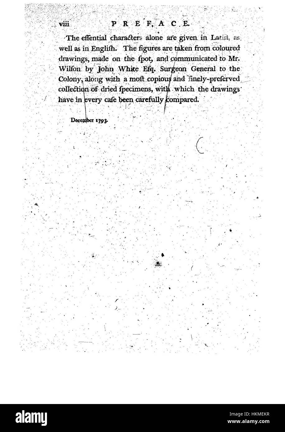 Questa illustrazione botanica di "A Specimen of the Botany of New Holland" presenta la flora australiana studiata nel XVIII e XIX secolo, mostrando studi dettagliati sulle piante e la loro rilevanza scientifica. Foto Stock Questa illustrazione botanica di "A Specimen of the Botany of New Holland" presenta la flora australiana studiata nel XVIII e XIX secolo, mostrando studi dettagliati sulle piante e la loro rilevanza scientifica. Foto Stock