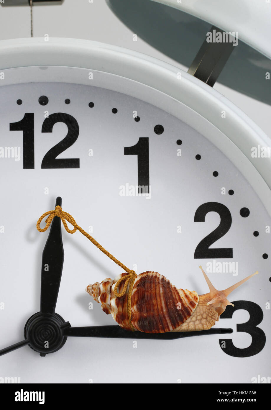 Snail tirando orologio, rallentare il concetto di tempo Foto Stock
