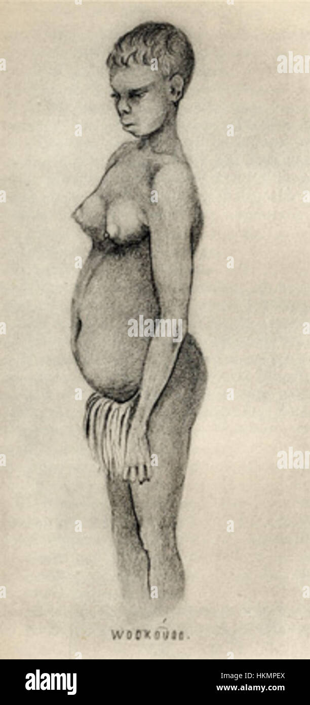 Questa opera d'arte di Thomas Henry Huxley presenta un ritratto di una donna australiana. Il rendering dettagliato di Huxley cattura le caratteristiche del soggetto e il background culturale, offrendo uno sguardo sull'identità australiana durante il XIX secolo. Il ritratto enfatizza le abilità di Huxley nell'arte antropologica e la sua rappresentazione di etnie diverse. Foto Stock