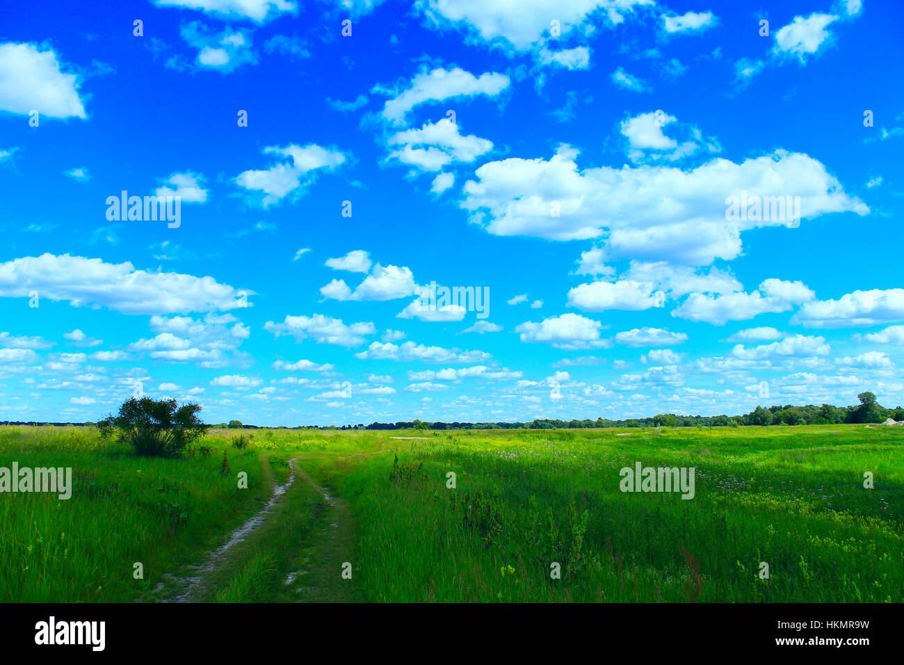 Strada di campagna nel campo estivo con nuvole bianche sul cielo blu Foto Stock