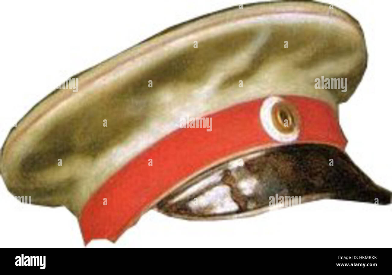 Un ritratto raffigurante Alessandro II, l'imperatore di Russia, che indossa il suo caratteristico cappello da colonnello. Il dipinto cattura la grandezza e l'influenza militare dello zar russo durante il suo regno. Foto Stock