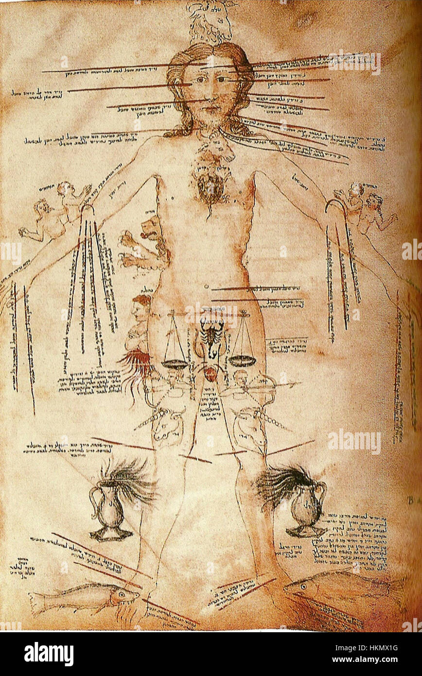 Questa opera d'arte del XIV secolo raffigura segni astrologici e le corrispondenti parti del corpo umano, offrendo una prospettiva storica sul collegamento tra l'anatomia celeste e umana nel pensiero medievale. Foto Stock