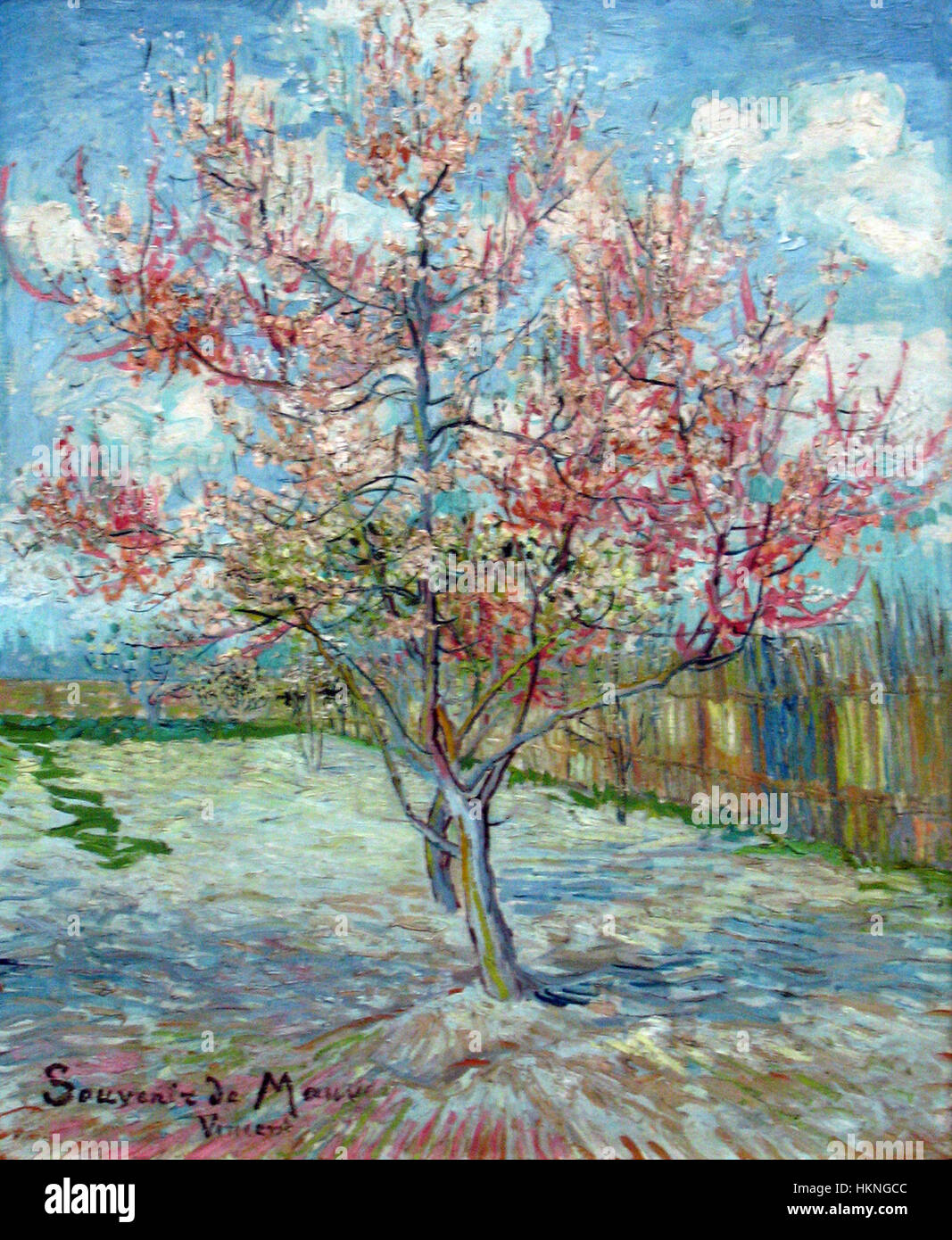 Il Roze Perzikbomen di Vincent van Gogh, dipinto nel 1888, presenta una vivace rappresentazione della natura, un elemento chiave del suo stile post-impressionista, con colori vivaci e pennellate testurizzate. Foto Stock