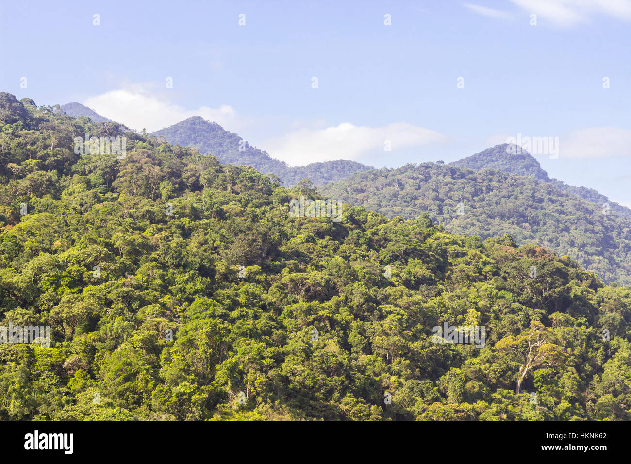 Ilhabela, Brasile, montagne coperte dalla foresta Atlantica in una giornata di sole Foto Stock