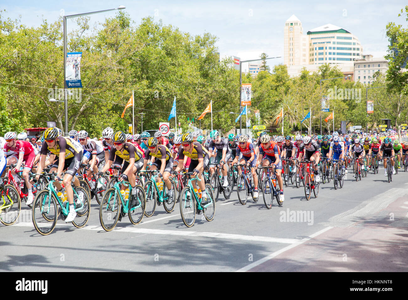 Piloti racing attraverso le strade di Adelaide durante la fase 6 del 2017 Tour Down Under in Adelaide Australia Foto Stock