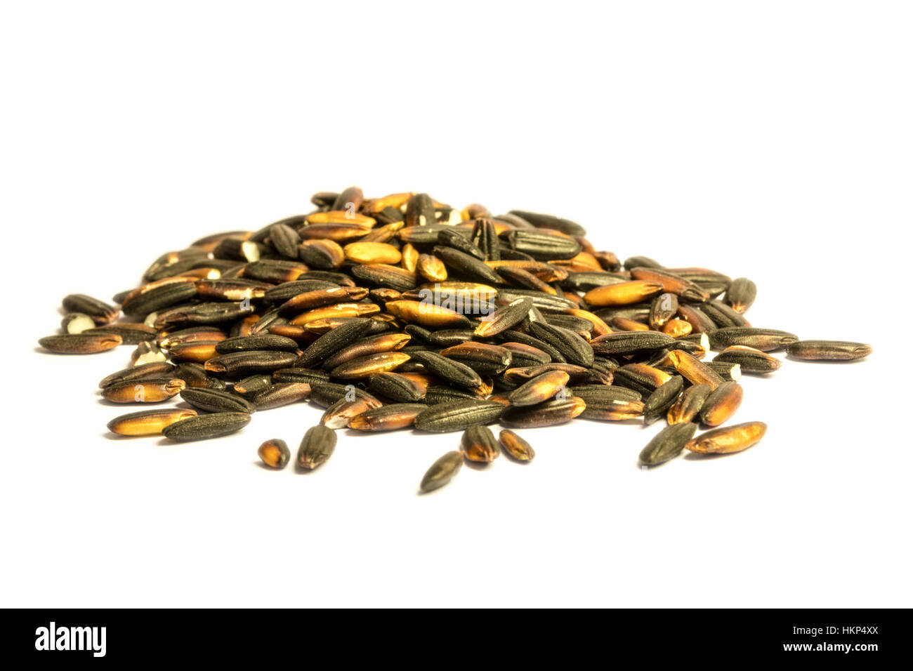 Nero il riso glutinoso, sfondo bianco Foto Stock