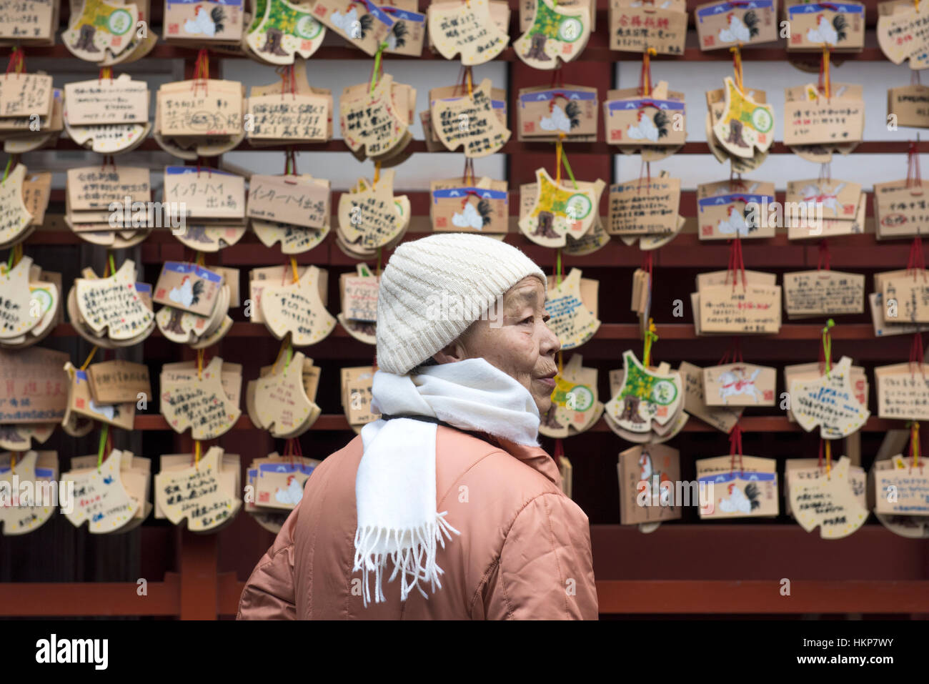 Una donna anziana con la preghiera a carte Tsurugaoka Hachimangū (鶴岡八幡宮) , il più importante santuario scintoista nella città di Kamakura, Giappone Foto Stock