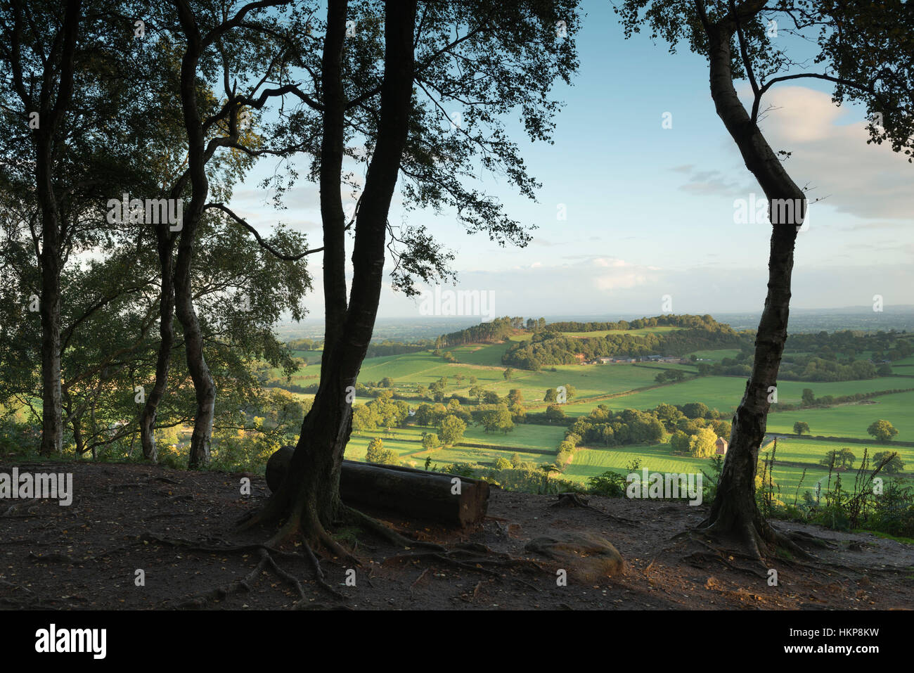 Vista di Hart Hill e della campagna del Cheshire da Bickerton Hill presto in una mattinata d'autunno Foto Stock