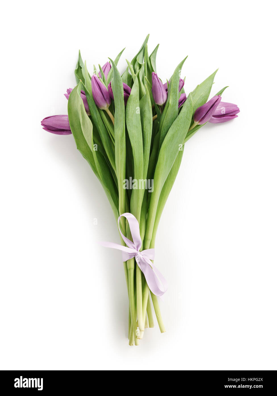 Viola freschi bouquet di tulipani dal di sopra su bianco Foto Stock