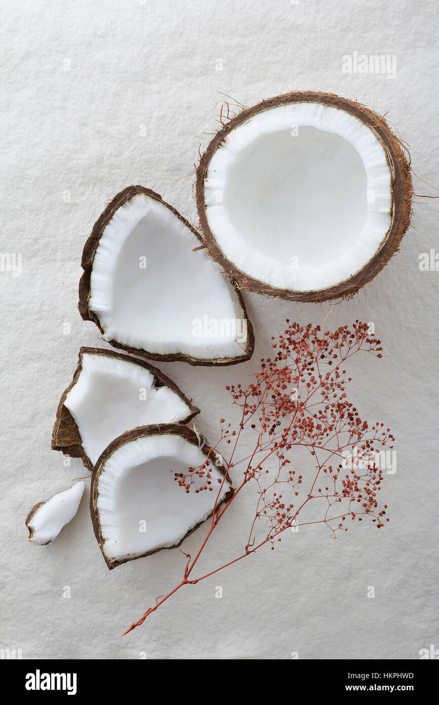 Pezzi di una noce di cocco tutta crepata aperto su uno sfondo bianco. Un rosso decorativo ramo è collocato accanto al cocco fresco. Foto Stock