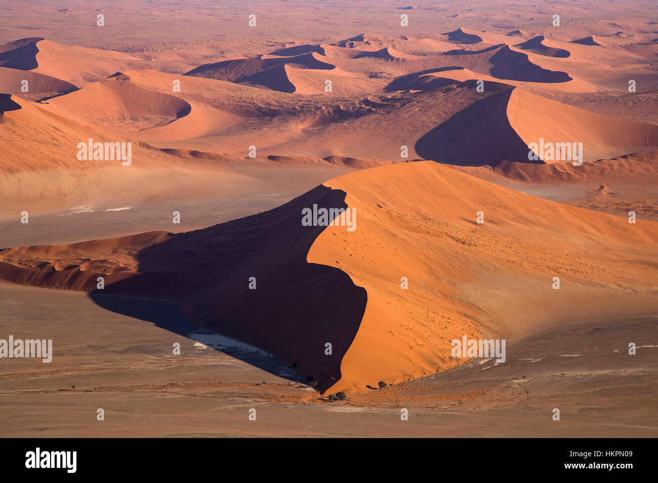 Le dune di sabbia, argilla bianca pan, salina, Deadvlei, Sossusvlei, Namib Desert, Namib-Naukluft Pk, Namibia, da Monika Hrdinova/Dembinsky Foto Assoc Foto Stock