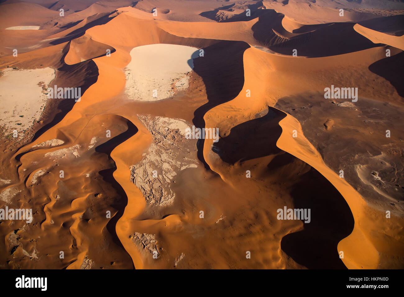 Le dune di sabbia, argilla bianca pan, salina, Deadvlei, Sossusvlei, Namib Desert, Namib-Naukluft Pk, Namibia, da Monika Hrdinova/Dembinsky Foto Assoc Foto Stock