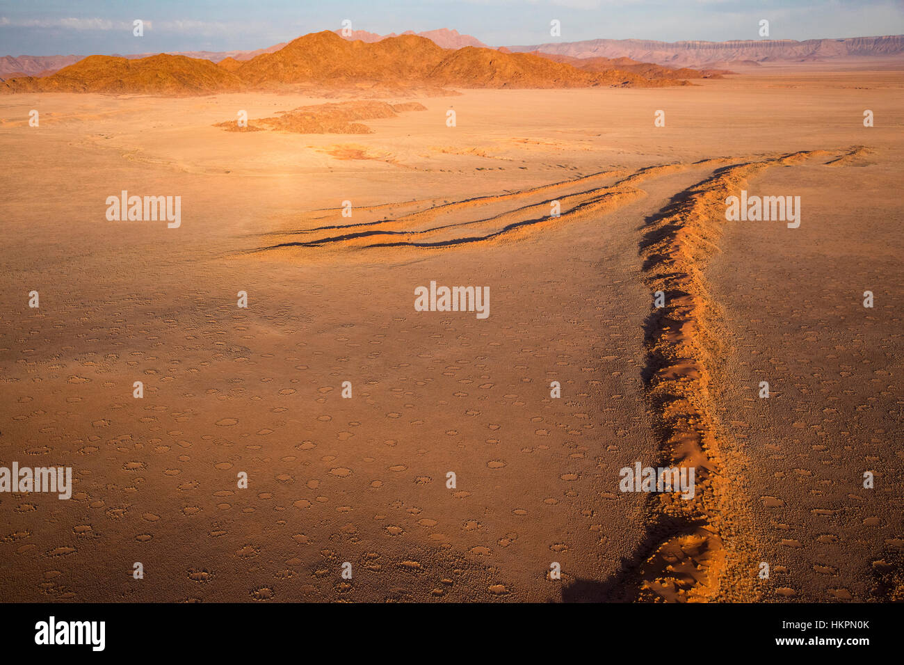 Vista aerea del deserto del Namib con Fata cerchi e aride formazioni di erba, Namibia, da Monika Hrdinova/Dembinsky Foto Assoc Foto Stock