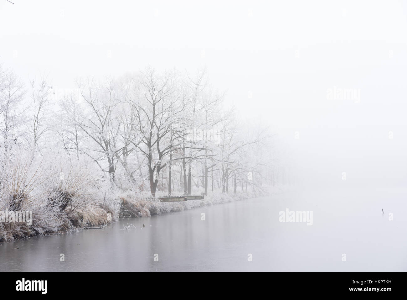 In inverno la nebbia sulla banca del lago ghiacciato. congelati alberi. Foto Stock