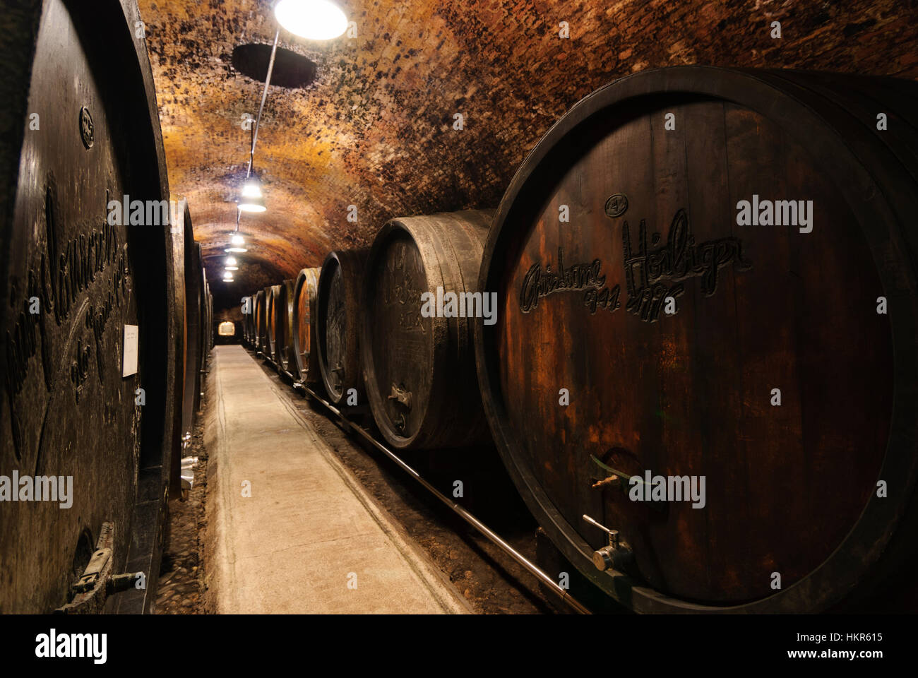 Dürnstein: enologo cooperazione Freie Weingärtner Wachau (FWW); cantina; ancora in uso in botti di legno, Wachau, Niederösterreich, Austria inferiore, un Foto Stock