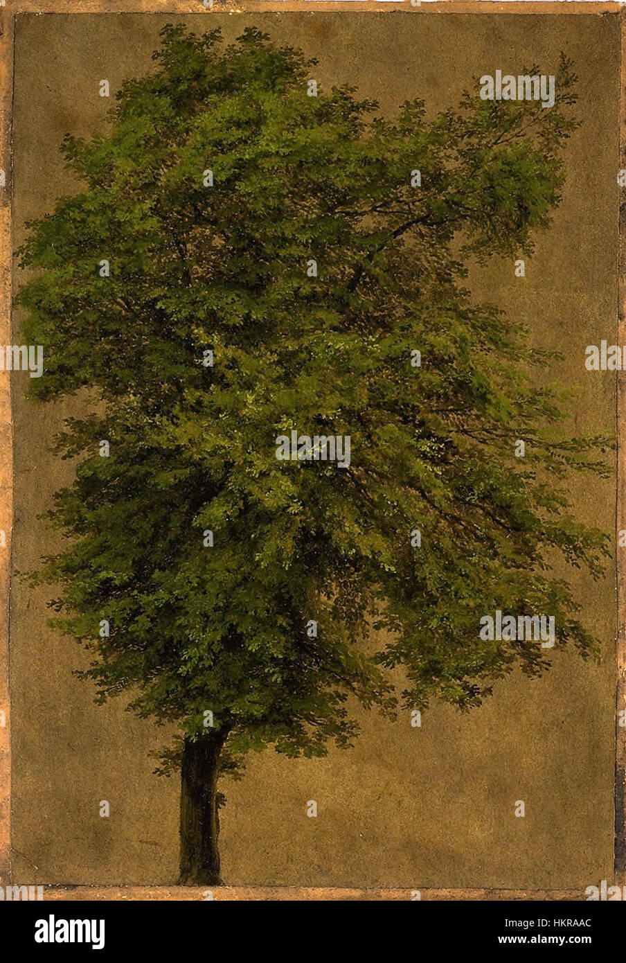 Il dipinto di Carl Blechen, “Junge Eiche”, una giovane quercia in un paesaggio naturale, è tipico della reverenza del movimento romantico per la natura, con un'attenzione meticolosa alla luce e all'ombra. Foto Stock