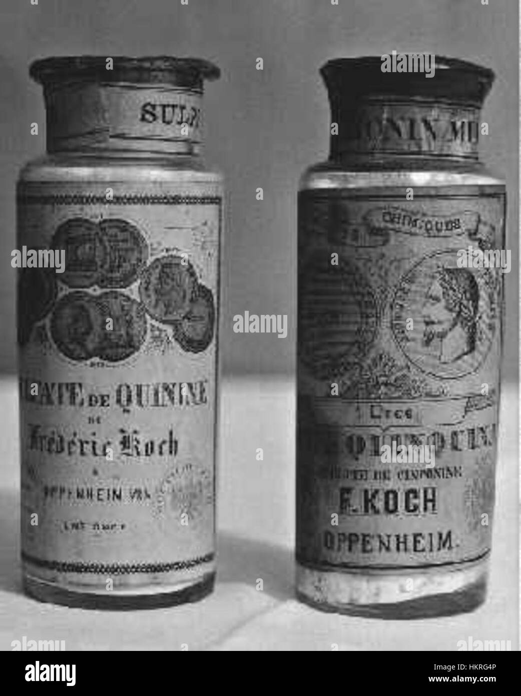 L'opera d'arte di Friedrich Koch intitolata "Chinin-Pharmaka" riflette le sue osservazioni dettagliate negli studi farmaceutici. Il dipinto rappresenta le applicazioni medicinali del chinino, utilizzato nel trattamento della malaria, una svolta nella medicina del XIX secolo. Foto Stock