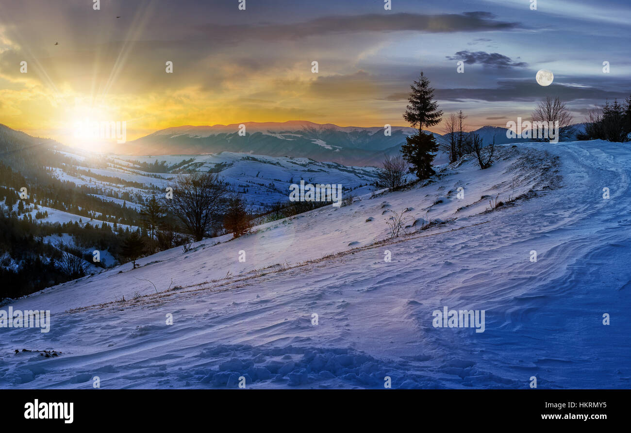 Il giorno e la notte e cambiare idea con abete rosso albero su un prato rurale pieno di neve in alta montagna Foto Stock