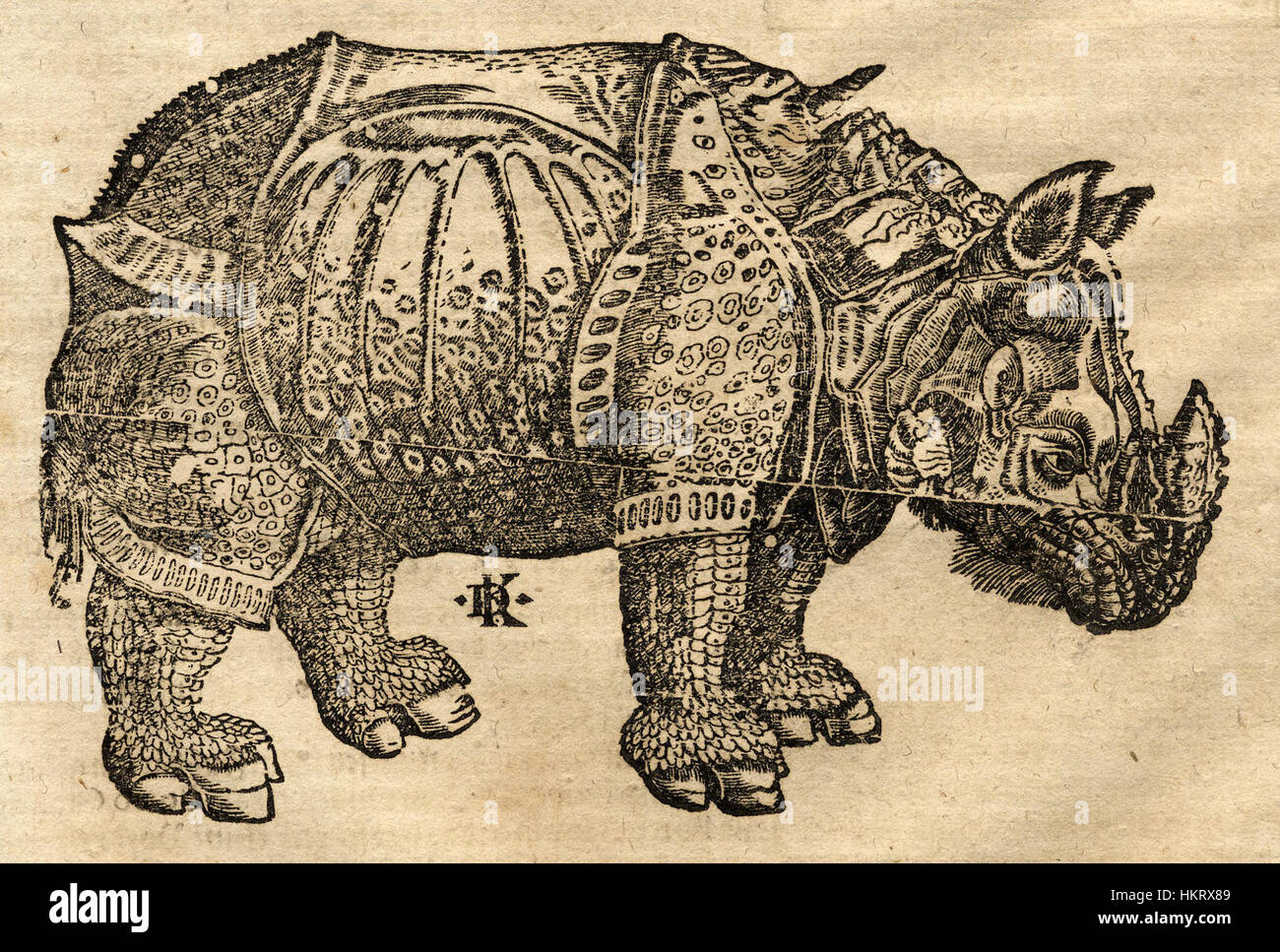 La raffigurazione di un rinoceronte di David Kandel, resa in intricati dettagli, mostra l'abilità dell'artista nel rappresentare gli animali. L'opera d'arte cattura la forza e la forma del rinoceronte, con un'enfasi sulla struttura e sulla precisione anatomica. Foto Stock