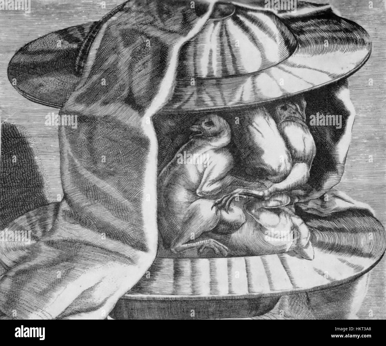 Questo ritratto di Dominicus Custos cattura una testa finemente dettagliata, tipica dell'abilità dell'artista nel rendere realistici i tratti del viso con particolare attenzione alla precisione e alla profondità. Foto Stock Questo ritratto di Dominicus Custos cattura una testa finemente dettagliata, tipica dell'abilità dell'artista nel rendere realistici i tratti del viso con particolare attenzione alla precisione e alla profondità. Foto Stock