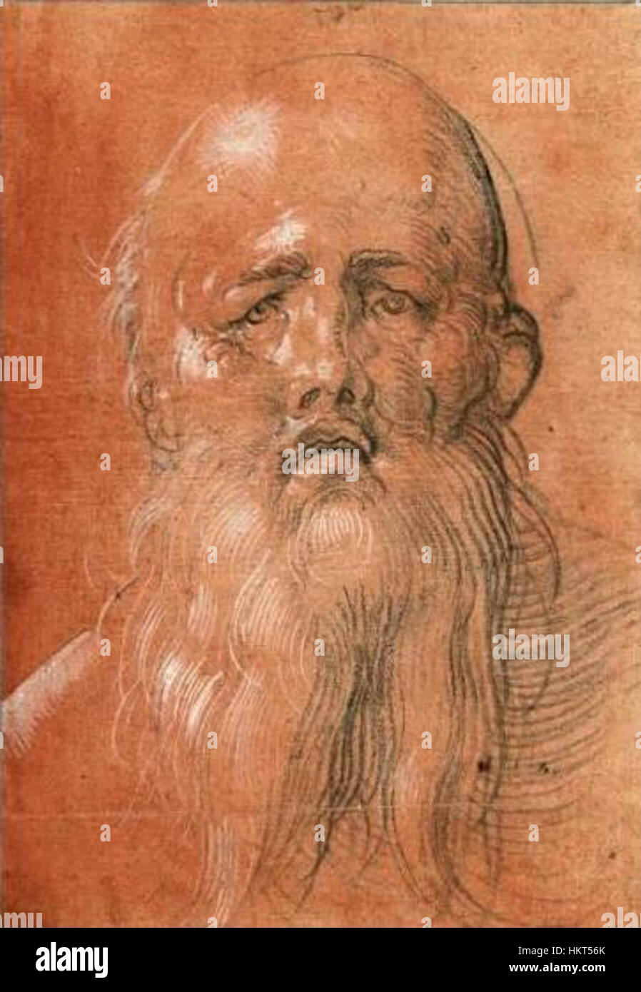 Questo disegno di Albrecht Dürer, intitolato "testa di un uomo barbuto", è una delle famose opere dell'artista rinascimentale tedesco. Conosciuto per i suoi ritratti dettagliati e le incisioni, l'uso sapiente di Dürer della linea e dell'ombreggiatura rende questo pezzo un notevole esempio della sua maestria artistica e dell'attenzione all'anatomia umana. Foto Stock