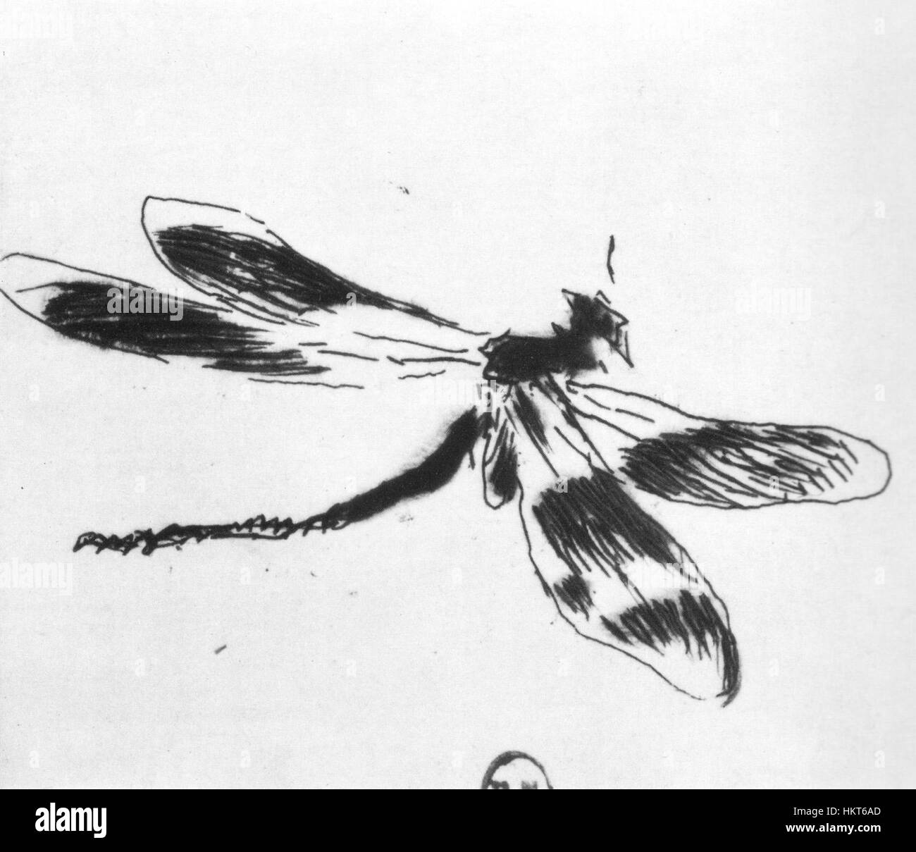 Il dipinto di Edouard Manet, Dragonfly, è un'opera a olio del XIX secolo che raffigura un insetto, presentando l'abilità dell'artista nel catturare la fragilità e l'eleganza della natura. Foto Stock