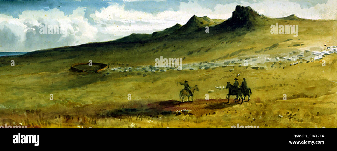 Questo dipinto di Edward Gennys Fanshawe raffigura il paesaggio del Monte William nelle Isole Falkland, catturato nel maggio 1849. L'opera mostra il terreno accidentato e la bellezza naturale della remota catena di isole durante la metà del XIX secolo. Foto Stock