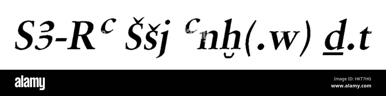 Lo Scarabeo di Sheshi, catalogato come Walters 4215, è un antico manufatto egiziano che simboleggia la protezione e la rinascita. Questo scarabeo è notevole per le sue iscrizioni e il suo ruolo nelle pratiche di sepoltura egiziane, riflettendo l'importanza degli amuleti nella cultura egiziana. Foto Stock