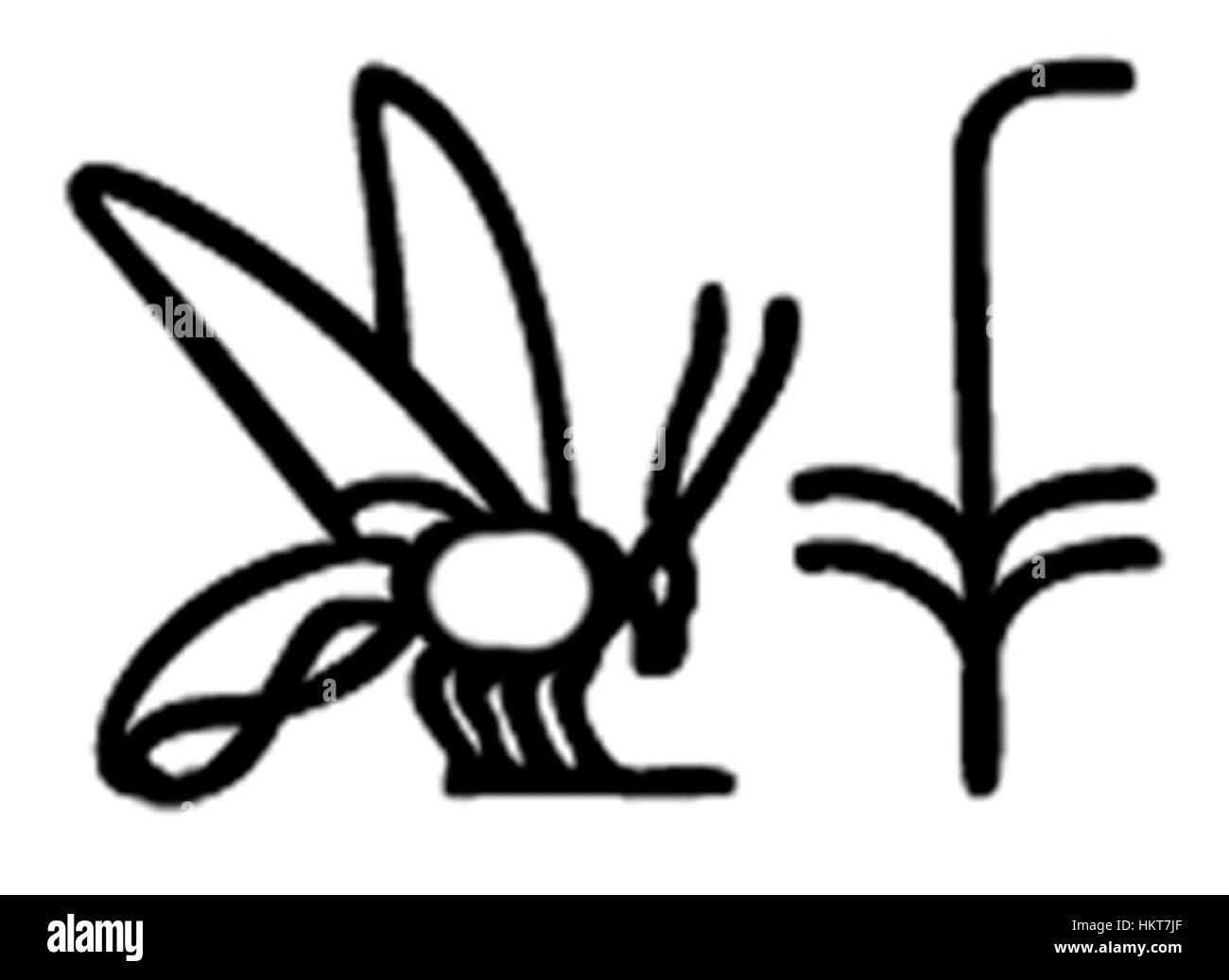 Questo scarabeo egiziano presenta un titolo reale, che riflette la tradizione della cultura di utilizzare gli scarabei per scopi personali e cerimoniali. L'impressione fornisce preziose informazioni sul simbolismo egizio antico e sull'iconografia reale. Foto Stock