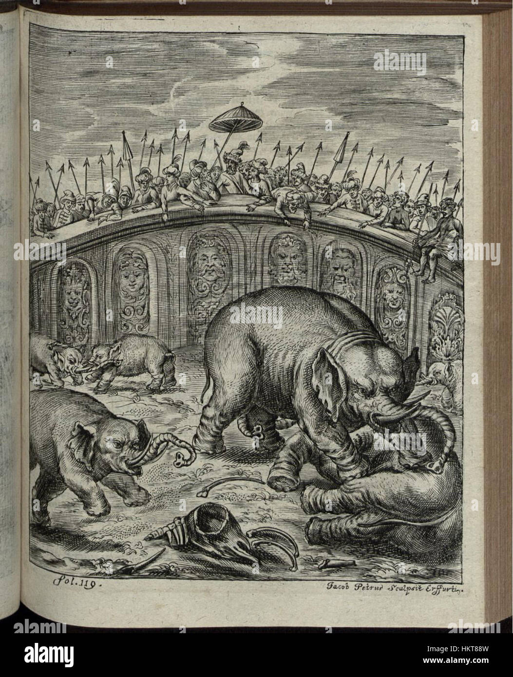 *Elephantographia Curiosa* del 183 è un'incisione rara e unica che cattura un elefante in intricati dettagli, un significativo pezzo di storia zoologica del XIX secolo. Foto Stock