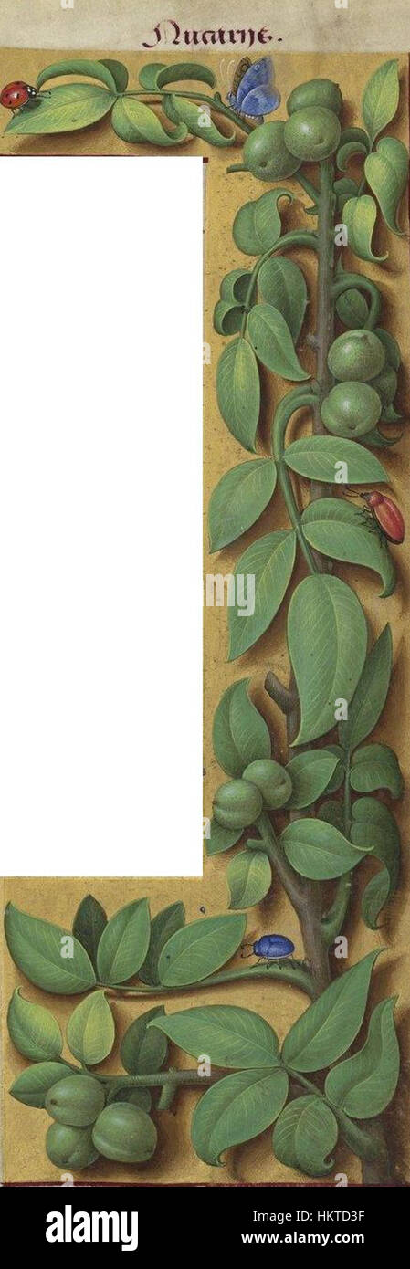 Questa opera d'arte, intitolata *F432.highresNoix2*, presenta uno stile contemporaneo con elementi astratti. Il dipinto enfatizza i colori audaci e le forme dinamiche, riflettendo le tendenze artistiche moderne. Foto Stock