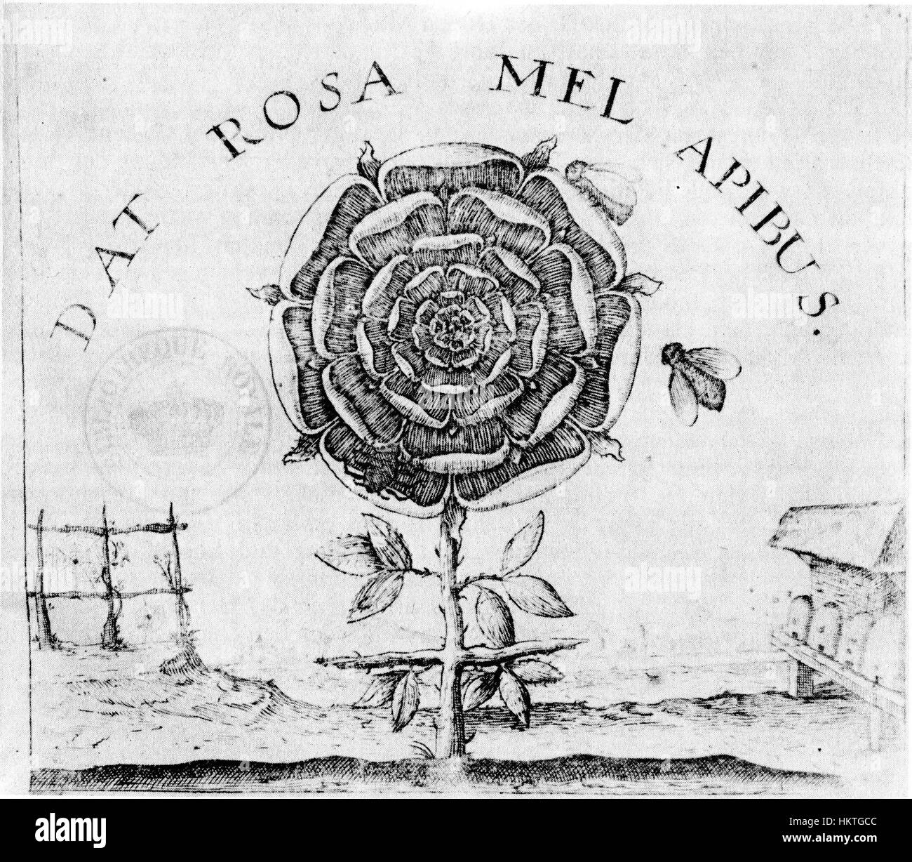 "Summum Bonum" di Robert Fludd è un dipinto simbolico dettagliato che raffigura il concetto del bene più alto nella filosofia e nel misticismo. L'opera esplora l'unione dell'anima umana con la saggezza divina, attingendo da tradizioni alchemiche ed esoteriche, rappresentando l'illuminazione spirituale attraverso immagini intricate e ultraterrene. Foto Stock